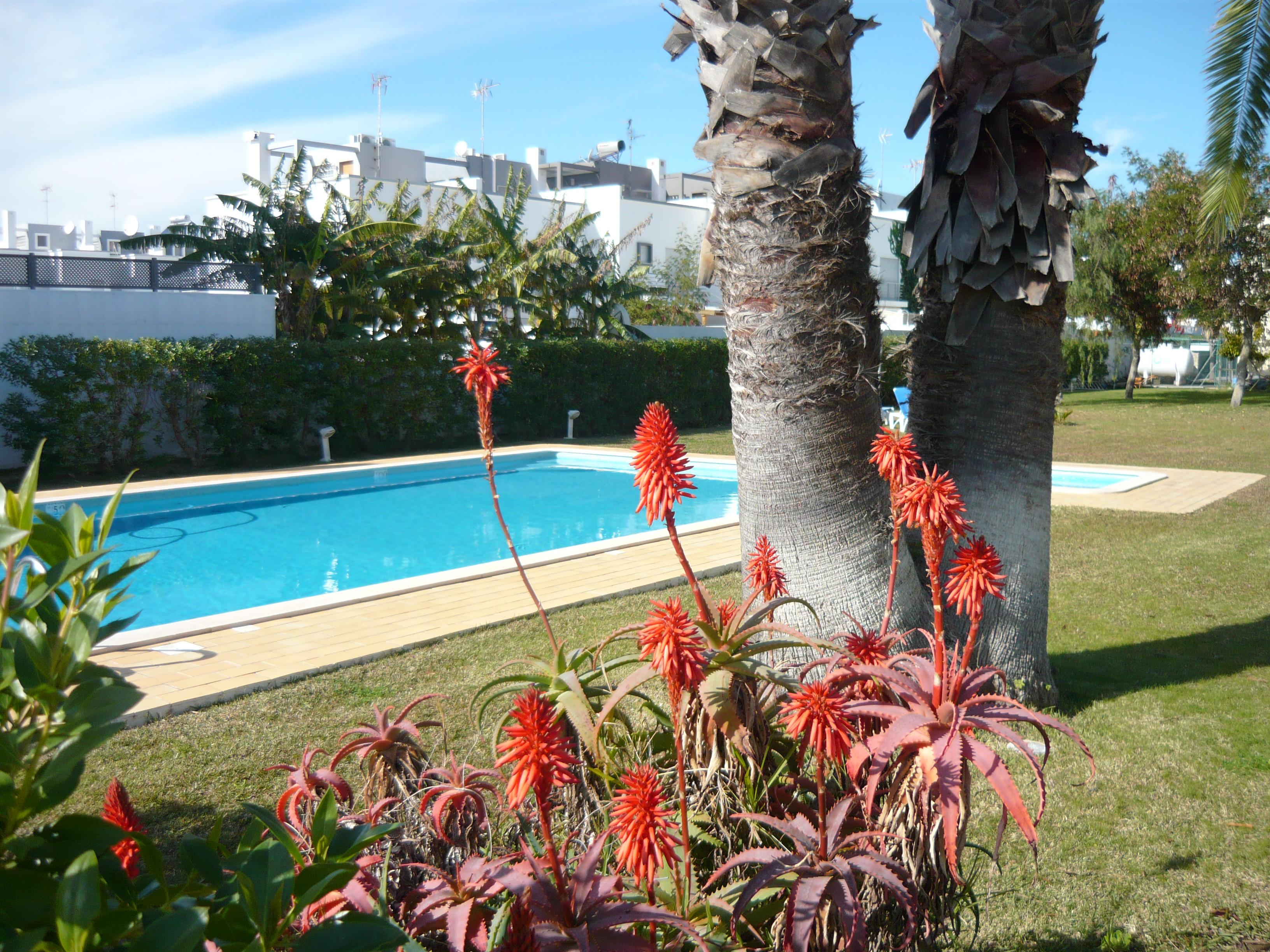 Praia Da Lota Resort - Beachfront Hotel Manta Rota Exterior foto
